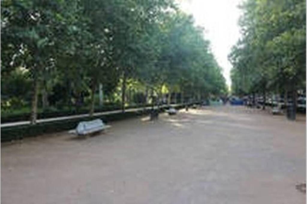 Bonito Apartamento Junto A Paseo De La Bomba Appartement Granada Buitenkant foto